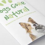 Park Art Brochure Design - Dogs Gone Natural
